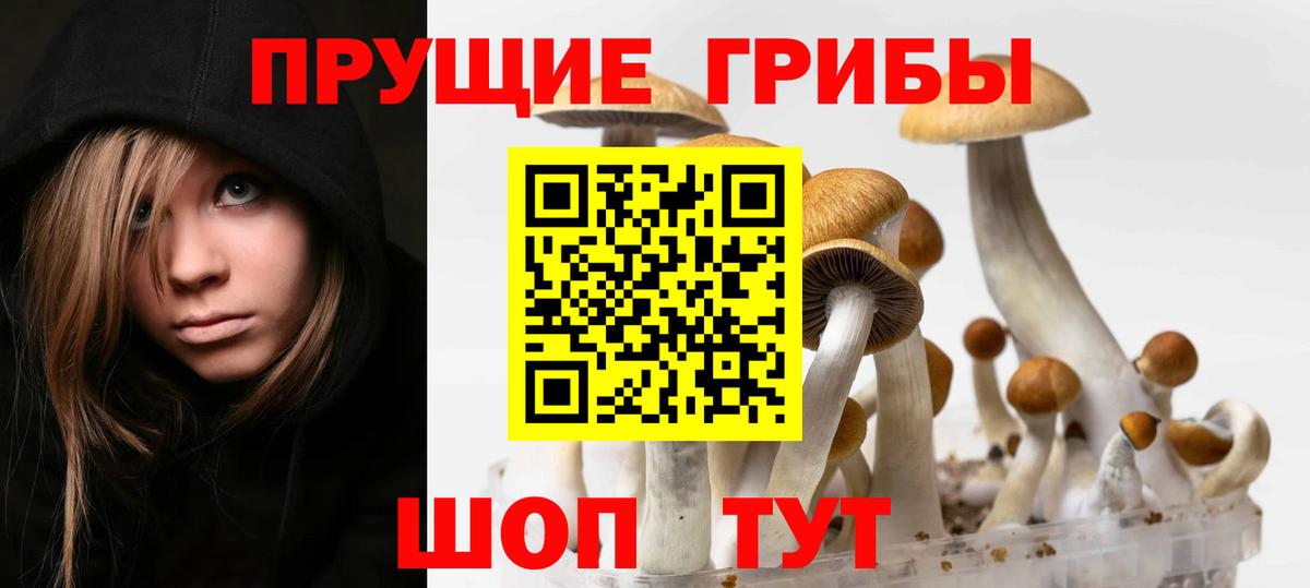 Галлюциногенные грибы MAGIC MUSHROOMS  что такое   Магнитогорск  Вход с VPN 
